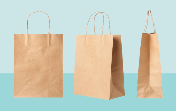 Twist Handle Paper Bags