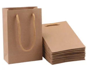 Read more about the article Shopping bags